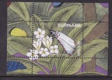 SURINAM 2020 FAUNA INSECTE FLUTURI