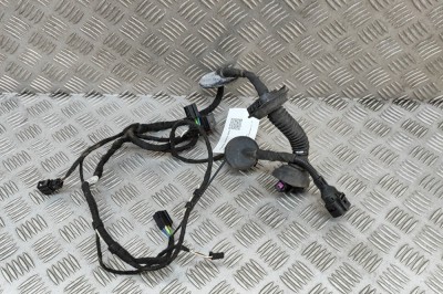 Cablaj ușă dreapta față AUDI Q7 4L 2007 OEM: 4L0971029 28445338 foto
