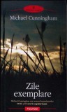 Zile Exemplare - Michael Cunningham, Polirom, 2005, Roman, Beletristica