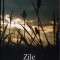 ZILE EXEMPLARE-MICHAEL CUNNINGHAM-292584