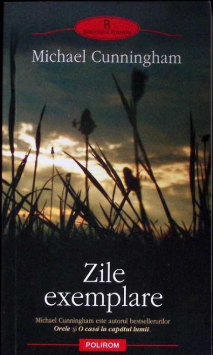 ZILE EXEMPLARE-MICHAEL CUNNINGHAM-292584