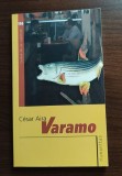 Cesar Aira - Varamo