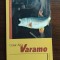 Cesar Aira - Varamo