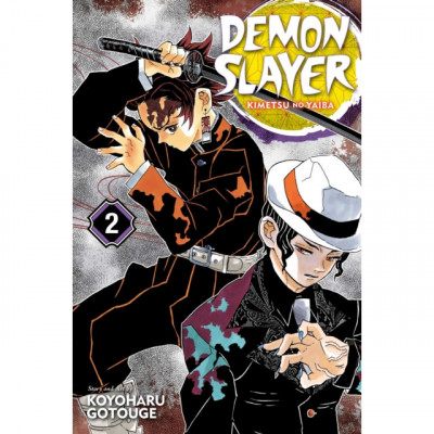 Demon Slayer: Kimetsu No Yaiba, Vol. 2 foto