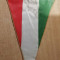 M3 C7B - Tematica diverse - culori nationale - Ungaria