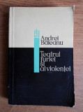 Andrei Baleanu - Teatrul furiei și al violenței