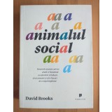David Brooks - Animalul social: resursele ascunse...