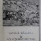 CATALOG NICOLAE DARASCU IN COLECTII BUCURESTENE , 1996