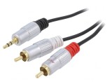 Cablu Audio Jack 3,5mm la RCA 3m Aurit Negru