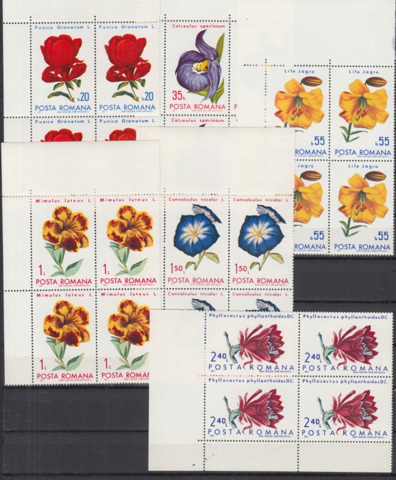 ROMANIA 1971 LP 767 FLORI DIN GRADINI BOTANICE BLOCURI DE 4 TIMBRE MNH