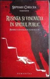 RUSINEA SI VINOVATIA IN SPATIUL PUBLIC. PENTRU O SOCIOLOGIE A EMOTIILOR-SEPTIMIU CHELCEA-356371