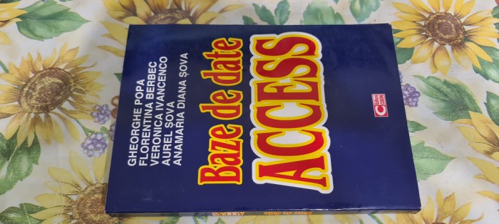Gheorghe Popa baze de date acces