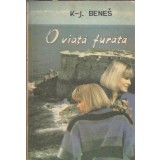 O viata furata - Karel Josef Benes