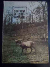 Din Fauna Si Flora Romaniei - Ion Simionescu ,546049 foto