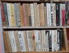 55 diverse volume beletristica (Bojin Pavlovski, Ken Follett, Kadare, Mrozek, Hasek Soldatul Svejk, Kobo Abe, Joyce Ulise, Kundera, Jose Saramago etc)
