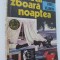 Liliecii zboara noaptea - Pavel Vejinov