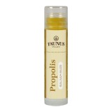 Balsam buze Propolis, 5 ml, Faunus Plant