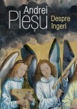 Despre Ingeri - Andrei Plesu (Filosofie, Religie) Carte