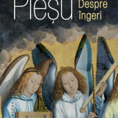 Despre ingeri – Andrei Plesu