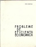 Cumpara ieftin Probleme de eficienta economica - Ioan Ciobotaru