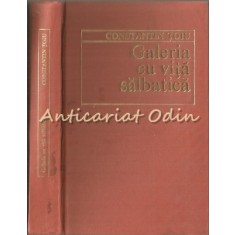 Galeria Cu Vita Salbatica - Constantin Toiu