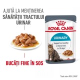 Royal Canin Urinary Care Adult hrana umeda pisica, sanatatea tractului urinar