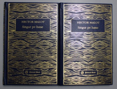 SINGUR PE LUME de HECTOR MALOT , VOLUMELE I - II , 2000 foto