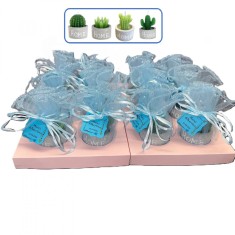 Set 12 marturii botez - Lumanare cactus in ghiveci Home foto