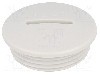 Presetupa poliamida, PG21, IP54, V-N-FS, HUMMEL - 1.251.2100.11