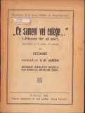C5387N Ce sameni vei culege 1924