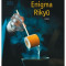 Enigma Rikyu | Kenichi Yamamoto