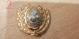 QW14 - Emblema militara / cuc - uscat - comunism - piesa de colectie