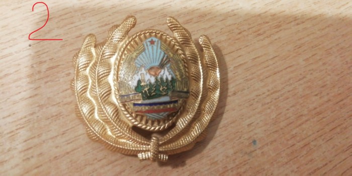 QW14 - Emblema militara / cuc - uscat - comunism - piesa de colectie