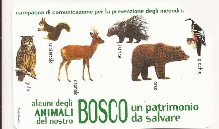 CT1-Cartela Telefonica -Telecom Italia - 5 Euro -Il Bosco da Salvare