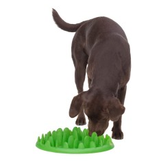 Castron interactiv caini - GREEN