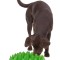 Castron interactiv caini - GREEN