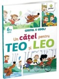 Cumpara ieftin Un catel pentru Teo si Leo. Cititul e cool. 6 ani+/***