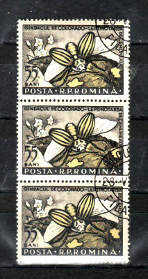 Romania 1956 Insecte daunatoare 55 bani straif din 3 foto