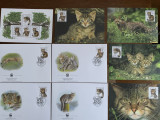 Slovenia - feline - serie 4 timbre MNH, 4 FDC, 4 maxime, fauna wwf