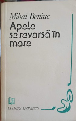 APELE SE REVARSA IN MARE. VERSURI-MIHAI BENIUC-250825 foto