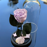 Trandafir Criogenat lila &Oslash;6,5cm in cupola sticla marime 10x20cm