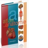 Atlas de anatomie