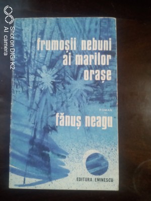 Frumosii nebuni ai marilor orase-Fanus Neagu foto