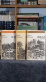 Cumpara ieftin Moara de pe Pad 3 volume Riccardo Bacchelli editura Univers roman istoric colectie 1985