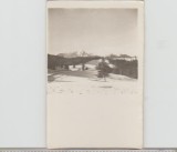 bnk foto Peisaj la Poiana Secuilor 1960
