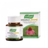 Cumpara ieftin A.Vogel Echinaforce Junior - Comprimate masticabile cu Echinaceea, aroma portocala, 120 buc - Imunitate copii, raceala, viroze