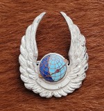 Insigna aviatie RPR