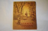 Vasile Alecsandri - Toamna țesătoare, Ilustrații Ana Bitan, Editura 1955, Carte Veche