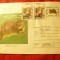 Plic ilustrat - Fauna - Vidra , cod 98/99