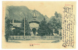 5389 - BUSTENI, Prahova, School, Watch, Litho, Romania - old postcard used 1902, Circulata, Printata